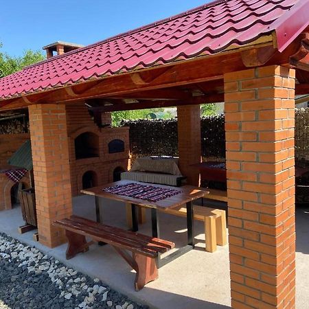 Pensiunea Montana Săpînţa Exterior foto
