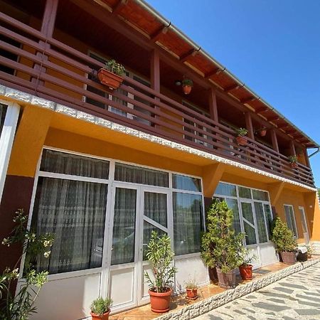 Pensiunea Montana Săpînţa Exterior foto