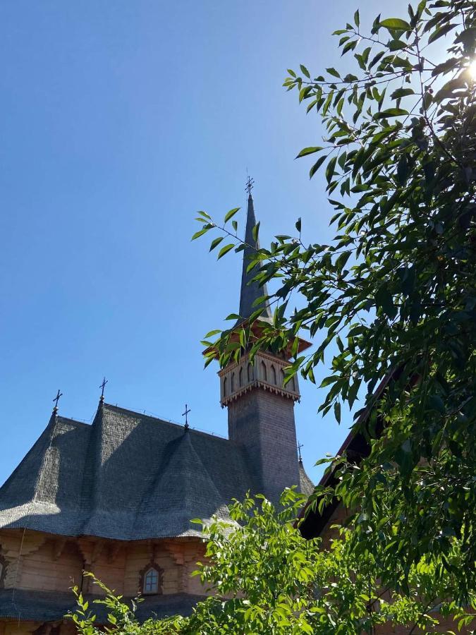 Pensiunea Montana Săpînţa Exterior foto