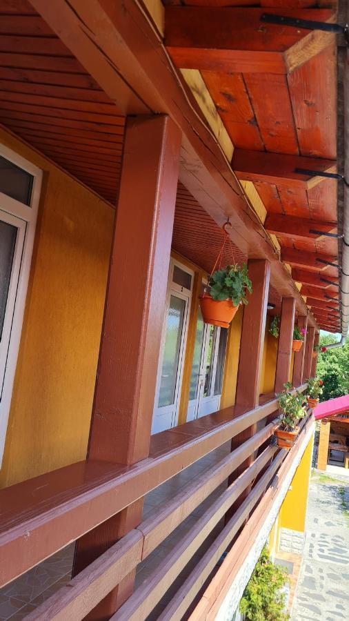 Pensiunea Montana Săpînţa Exterior foto