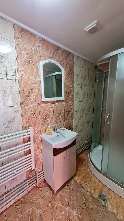 Pensiunea Montana Săpînţa Exterior foto